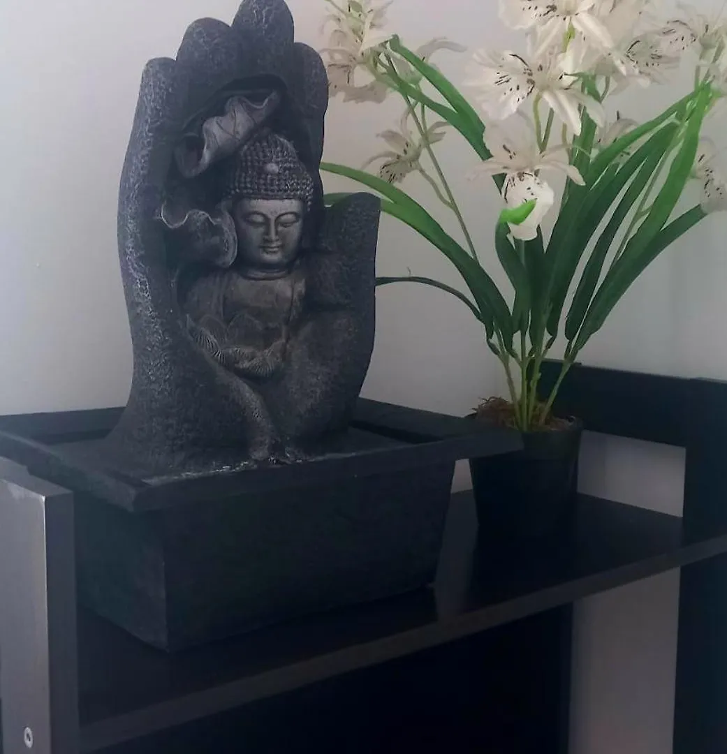 بيت ضيافة Natur Vida Home Tenerife لا لاغونا